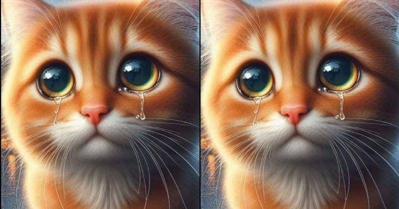 Tiktok.com/Ghotanassia3